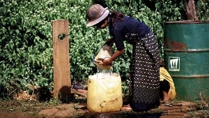 indigenous peoples news archive